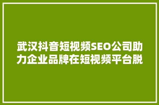 武汉抖音短视频SEO公司助力企业品牌在短视频平台脱颖而出