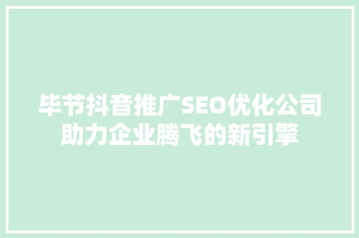 毕节抖音推广SEO优化公司助力企业腾飞的新引擎