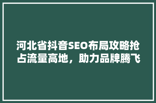 河北省抖音SEO布局攻略抢占流量高地，助力品牌腾飞