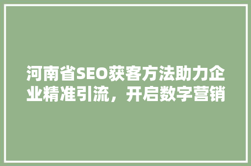 河南省SEO获客方法助力企业精准引流，开启数字营销新篇章