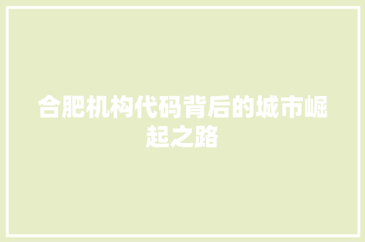 合肥机构代码背后的城市崛起之路