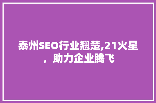泰州SEO行业翘楚,21火星，助力企业腾飞