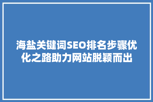 海盐关键词SEO排名步骤优化之路助力网站脱颖而出