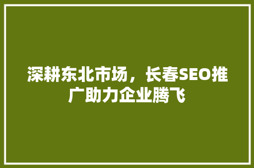 深耕东北市场，长春SEO推广助力企业腾飞