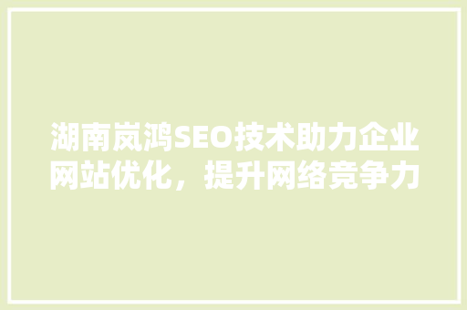 湖南岚鸿SEO技术助力企业网站优化，提升网络竞争力  第1张