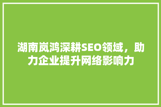 湖南岚鸿深耕SEO领域，助力企业提升网络影响力