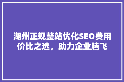 湖州正规整站优化SEO费用价比之选，助力企业腾飞