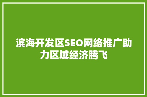 滨海开发区SEO网络推广助力区域经济腾飞