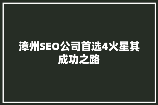 漳州SEO公司首选4火星其成功之路