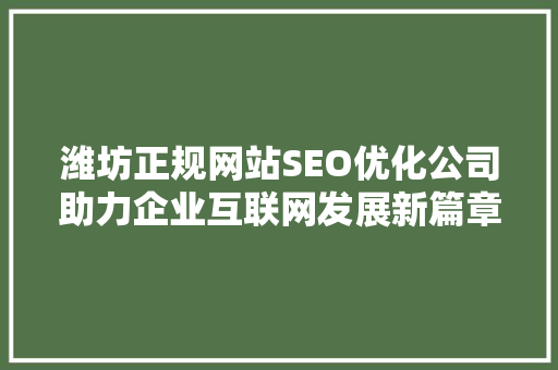 潍坊正规网站SEO优化公司助力企业互联网发展新篇章