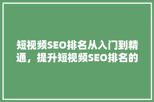 短视频SEO排名从入门到精通，提升短视频SEO排名的奥秘