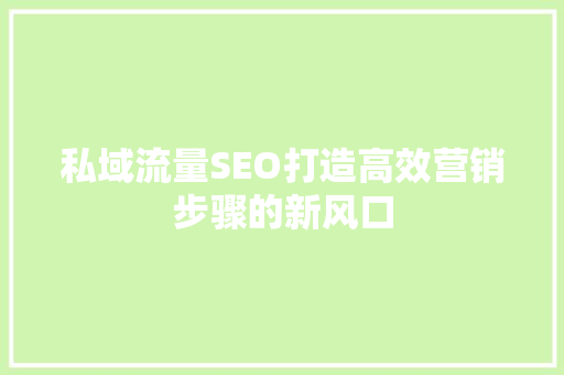 私域流量SEO打造高效营销步骤的新风口