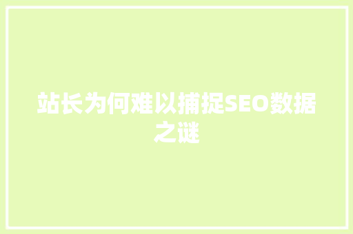 站长为何难以捕捉SEO数据之谜