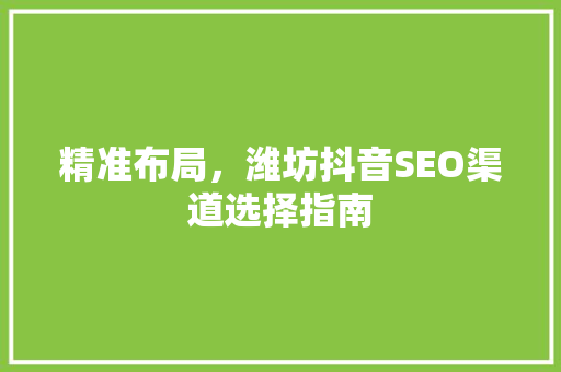 精准布局，潍坊抖音SEO渠道选择指南