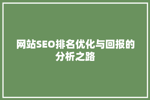 网站SEO排名优化与回报的分析之路