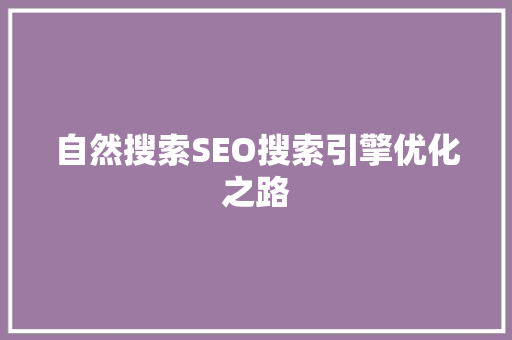 自然搜索SEO搜索引擎优化之路