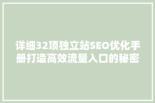 详细32项独立站SEO优化手册打造高效流量入口的秘密武器