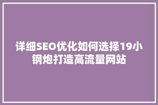 详细SEO优化如何选择19小钢炮打造高流量网站