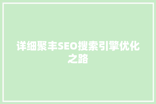 详细聚丰SEO搜索引擎优化之路