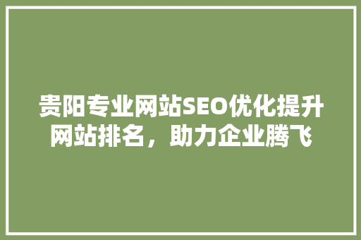 贵阳专业网站SEO优化提升网站排名，助力企业腾飞