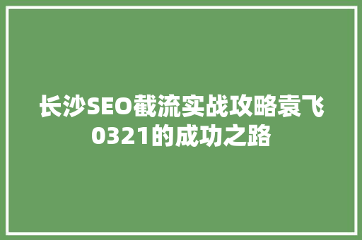 长沙SEO截流实战攻略袁飞0321的成功之路