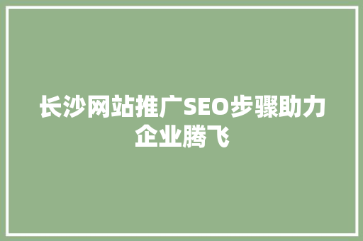 长沙网站推广SEO步骤助力企业腾飞