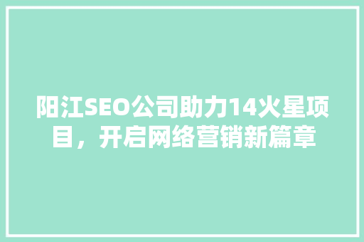 阳江SEO公司助力14火星项目，开启网络营销新篇章