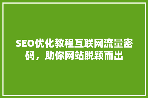 SEO优化教程互联网流量密码，助你网站脱颖而出