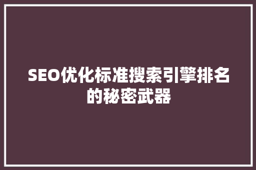 SEO优化标准搜索引擎排名的秘密武器