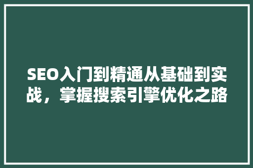 SEO入门到精通从基础到实战，掌握搜索引擎优化之路
