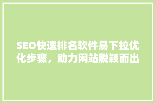 SEO快速排名软件易下拉优化步骤，助力网站脱颖而出