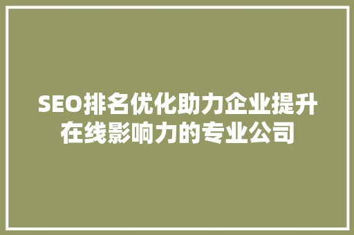 SEO排名优化助力企业提升在线影响力的专业公司