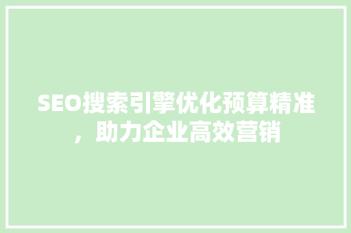 SEO搜索引擎优化预算精准，助力企业高效营销