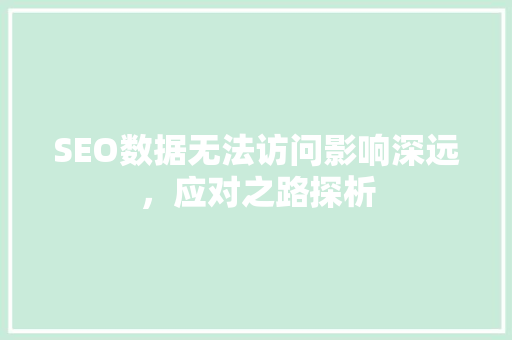 SEO数据无法访问影响深远，应对之路探析