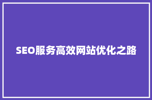 SEO服务高效网站优化之路