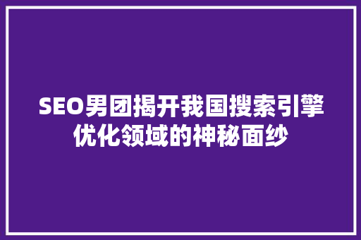 SEO男团揭开我国搜索引擎优化领域的神秘面纱