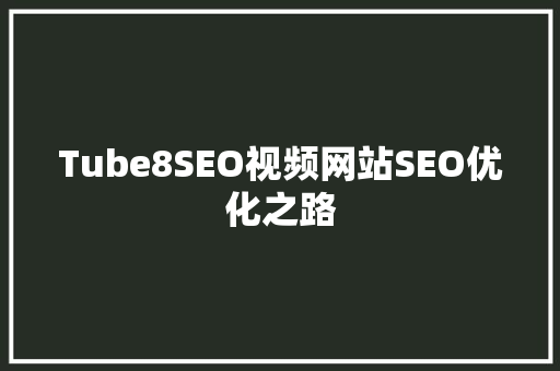 Tube8SEO视频网站SEO优化之路