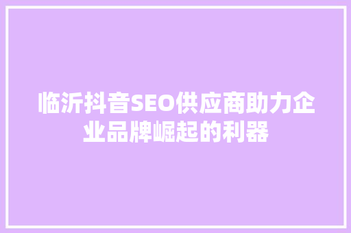 临沂抖音SEO供应商助力企业品牌崛起的利器
