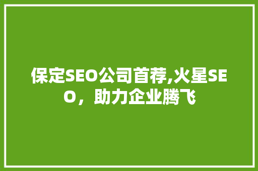 保定SEO公司首荐,火星SEO，助力企业腾飞