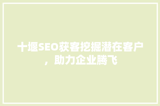 十堰SEO获客挖掘潜在客户，助力企业腾飞