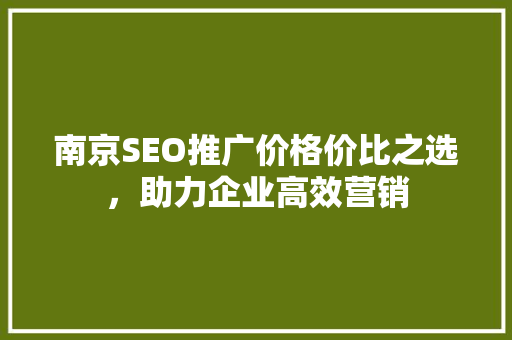 南京SEO推广价格价比之选，助力企业高效营销  第1张