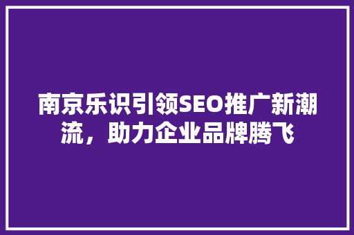 南京乐识引领SEO推广新潮流，助力企业品牌腾飞