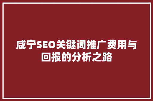 咸宁SEO关键词推广费用与回报的分析之路