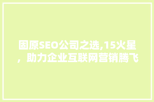 固原SEO公司之选,15火星，助力企业互联网营销腾飞