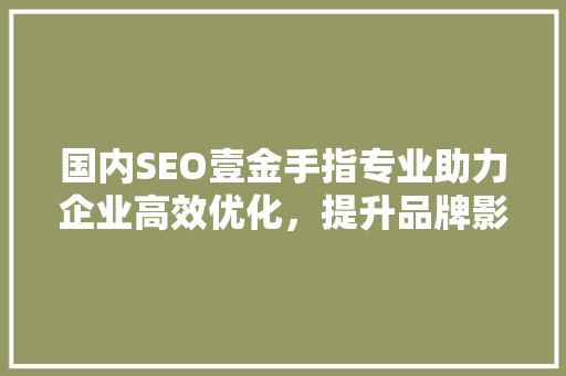 国内SEO壹金手指专业助力企业高效优化，提升品牌影响力
