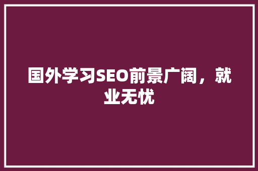 国外学习SEO前景广阔，就业无忧