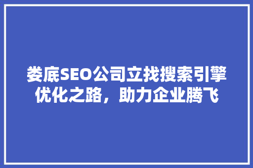 娄底SEO公司立找搜索引擎优化之路，助力企业腾飞