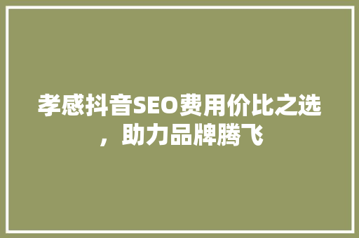 孝感抖音SEO费用价比之选，助力品牌腾飞