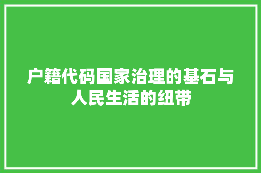 户籍代码国家治理的基石与人民生活的纽带