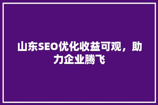山东SEO优化收益可观，助力企业腾飞